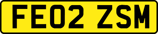 FE02ZSM