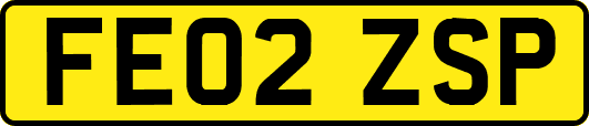 FE02ZSP