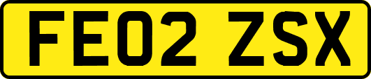FE02ZSX