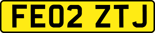 FE02ZTJ