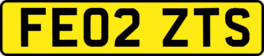 FE02ZTS