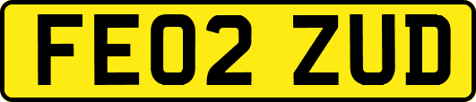 FE02ZUD