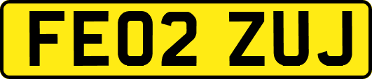 FE02ZUJ