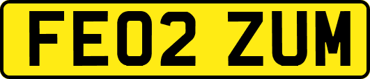 FE02ZUM