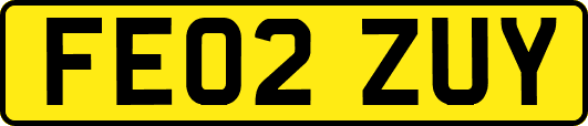 FE02ZUY