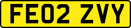 FE02ZVY