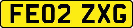FE02ZXG
