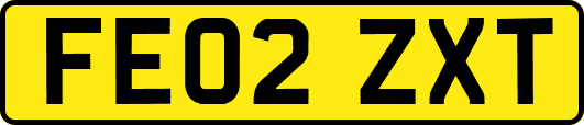FE02ZXT