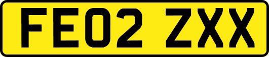 FE02ZXX