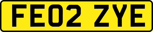 FE02ZYE