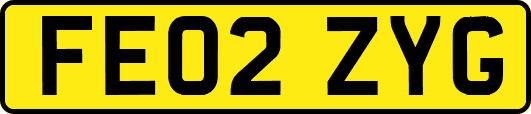 FE02ZYG