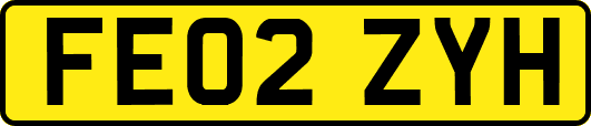 FE02ZYH