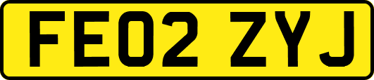 FE02ZYJ
