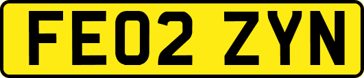 FE02ZYN