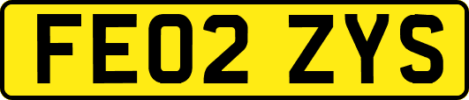 FE02ZYS