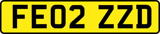 FE02ZZD