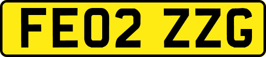 FE02ZZG