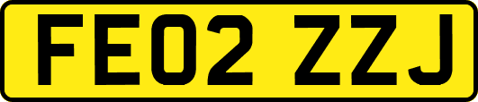 FE02ZZJ