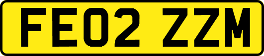 FE02ZZM