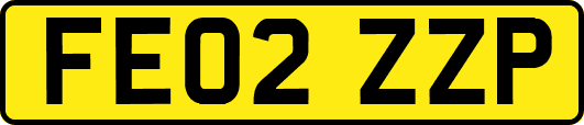 FE02ZZP