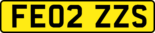 FE02ZZS