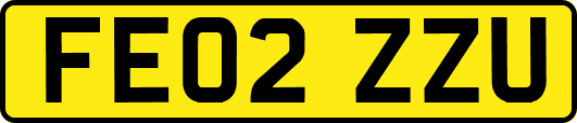 FE02ZZU