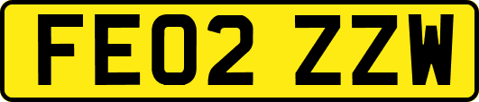 FE02ZZW