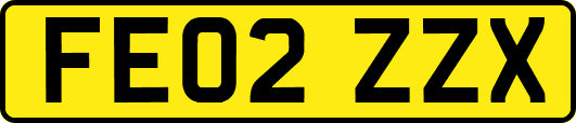 FE02ZZX