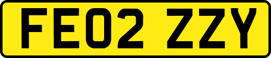 FE02ZZY