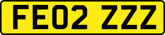 FE02ZZZ