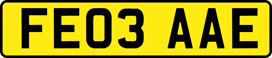 FE03AAE