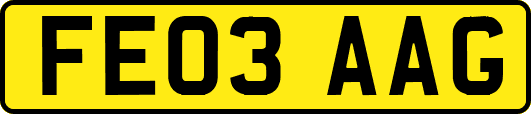 FE03AAG