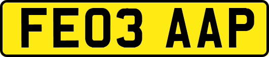 FE03AAP