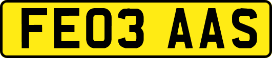 FE03AAS