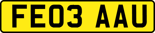 FE03AAU