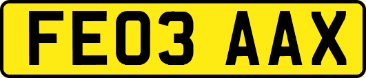 FE03AAX