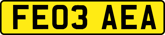 FE03AEA