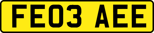 FE03AEE