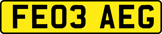 FE03AEG