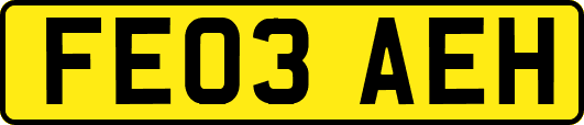 FE03AEH