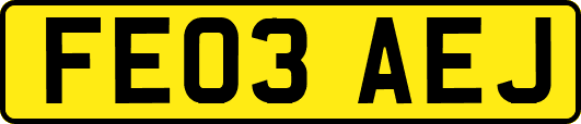FE03AEJ