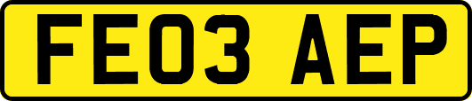 FE03AEP