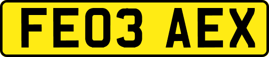 FE03AEX
