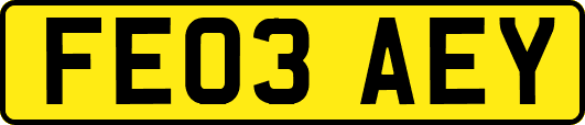 FE03AEY