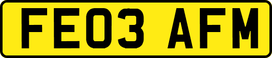 FE03AFM