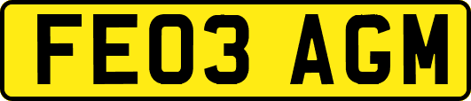 FE03AGM