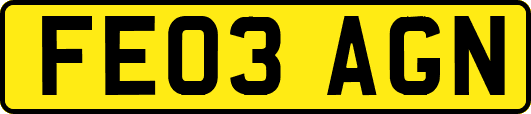 FE03AGN
