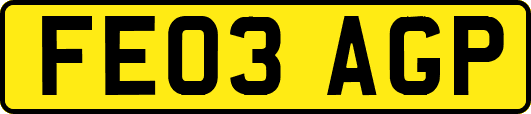 FE03AGP