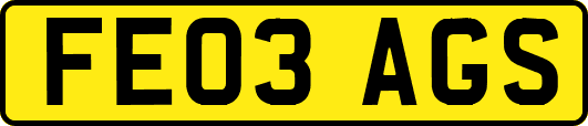 FE03AGS