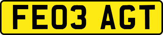 FE03AGT